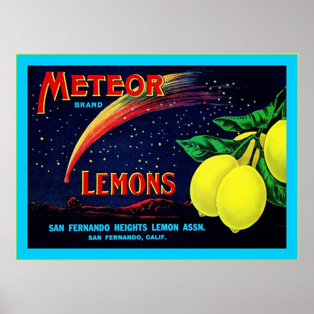 Vintages Fruchtkäfigetikett Poster (Vorne)