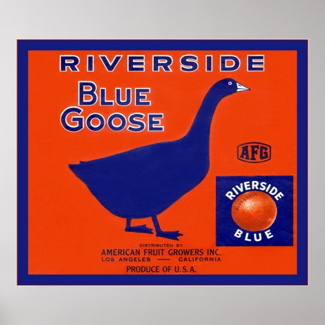 Vintages Fruchtkäfigetikett Poster (Vorne)