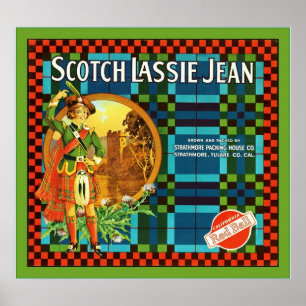 Vintages Fruchtkäfigetikett Poster