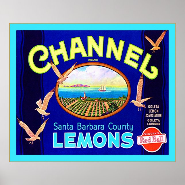 Vintages Fruchtkäfigetikett Poster (Vorne)