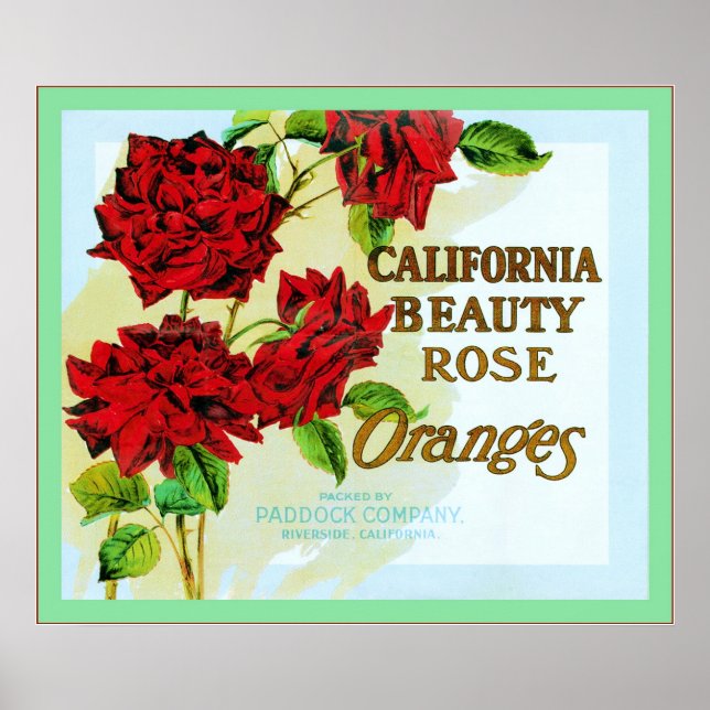 Vintages Fruchtkäfigetikett Poster (Vorne)