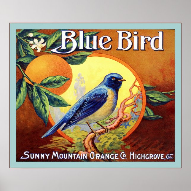 Vintages Fruchtkäfigetikett Poster (Vorne)