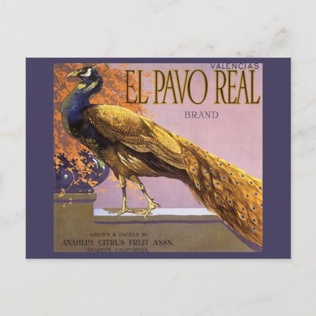 Vintages Fruchtkasten-Label Kunst, Dichtung und Mu Postkarte (Vorderseite)