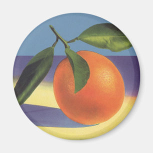 Vintages Fruchtkorb-Label Kunst, Juzious Orangen Magnet