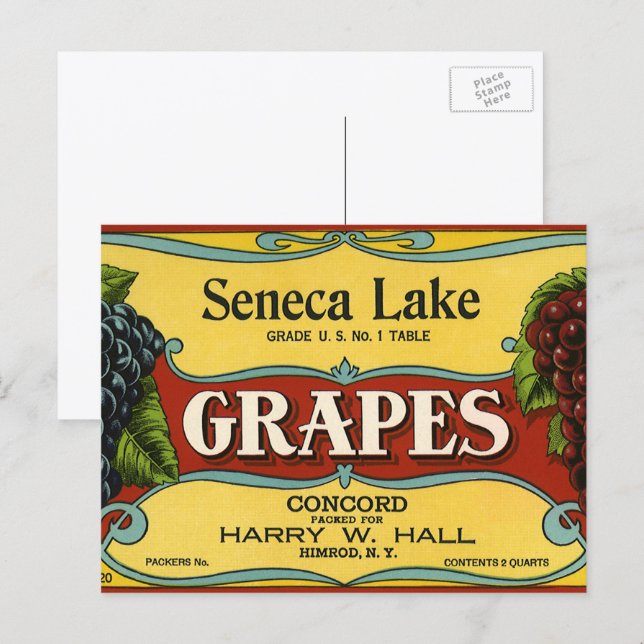 Vintages Fruchtkorb Postkarte (Vorne/Hinten)