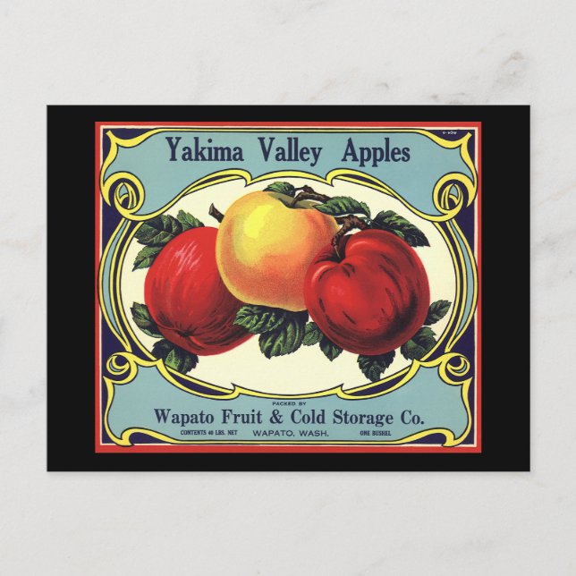 Vintages Fruchtkorb Postkarte (Vorderseite)