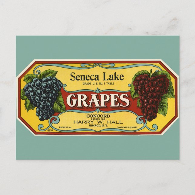 Vintages Fruchtkorb Postkarte (Vorderseite)