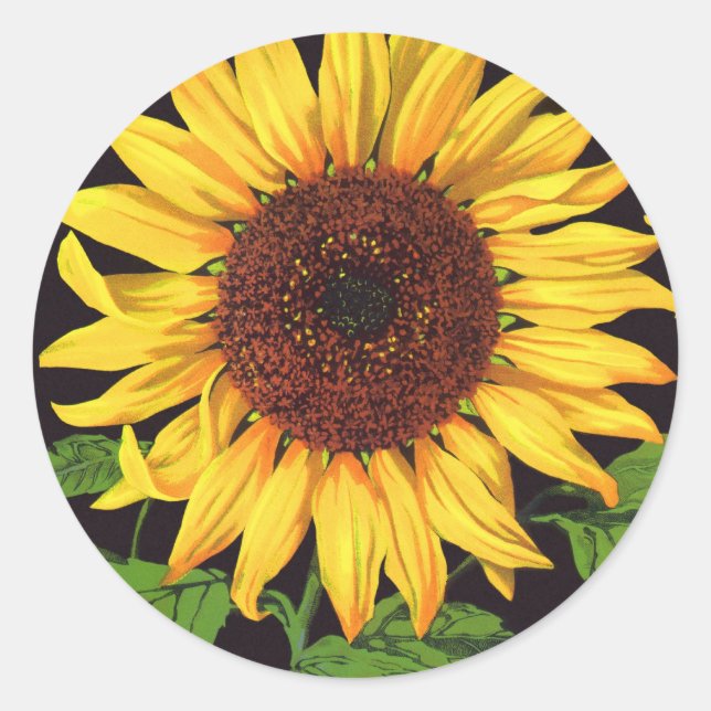 Vintages Fruchtkorb Runder Aufkleber (Vorderseite)