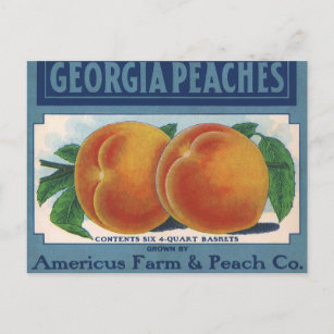 Vintages Fruchtkornlabel Art, Georgia Pfirsiche Postkarte