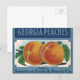Vintages Fruchtkornlabel Art, Georgia Pfirsiche Postkarte