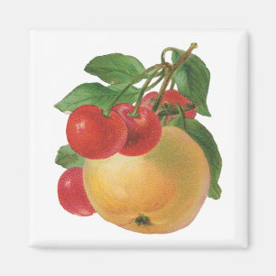 Vintages Fruchtmagnet Magnet