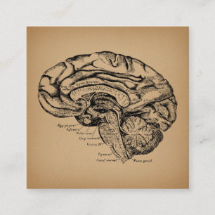 Vintages Gehirndiagramm Antike Anatomie Kunst Begleitkarte