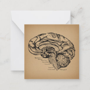 Vintages Gehirndiagramm Antike Anatomie Kunst Mitteilungskarte