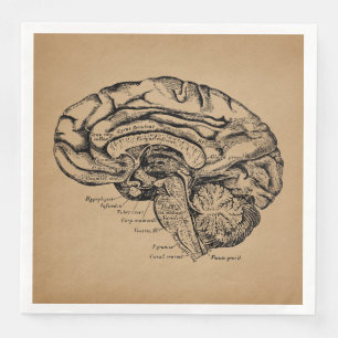Vintages Gehirndiagramm Antique Medical Anatomic A Serviette