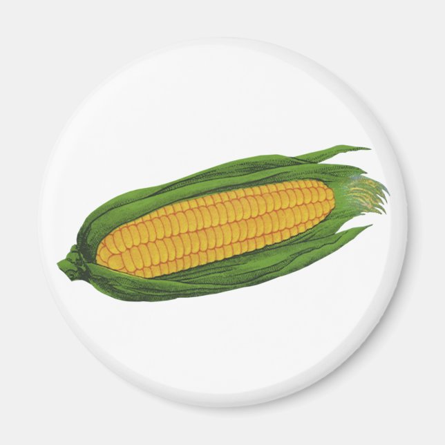 Vintages Gemüse; Gelber Mais auf dem Cob Magnet (Vorne)