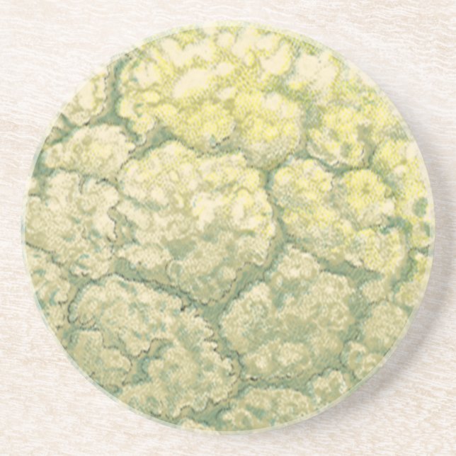 Vintages Gemüse Gemüse Veggies Blumenkohl Sandstein Untersetzer (Vorne)