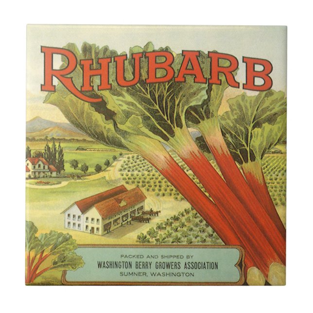 Vintages Gemüse kann Kunst, Rhubarb-Bauernhof Fliese (Vorderseite)