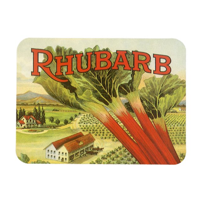 Vintages Gemüse kann Kunst, Rhubarb-Bauernhof Magnet (Horizontal)