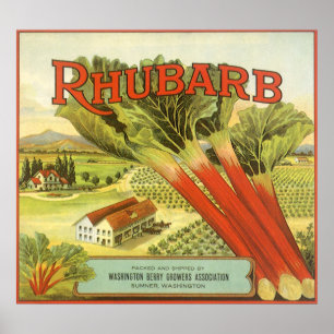 Vintages Gemüse kann Kunst, Rhubarb-Bauernhof Poster