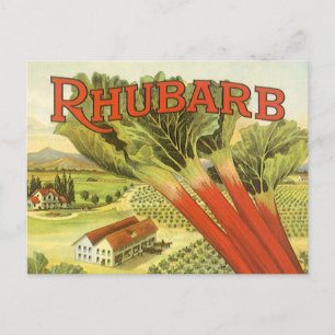 Vintages Gemüse kann Kunst, Rhubarb-Bauernhof Postkarte