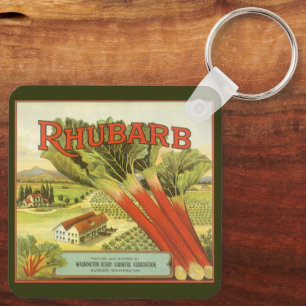 Vintages Gemüse kann Kunst, Rhubarb-Bauernhof Schlüsselanhänger