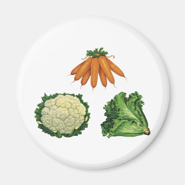 Vintages Gemüse; Karotten, Blumenkohl, Salat Magnet (Vorne)