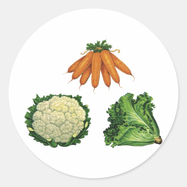 Vintages Gemüse; Karotten, Blumenkohl, Salat Runder Aufkleber (Vorderseite)