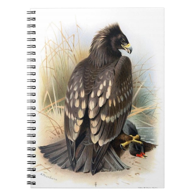 Vintages Gepunktetes AdlerNotebook Notizblock (Vorderseite)
