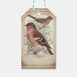 Vintages Gerahmtes Vogelgeflecht Geschenkanhänger