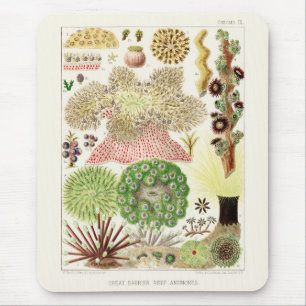 Vintages Great Barrier Reef of Australia Anemones Mousepad