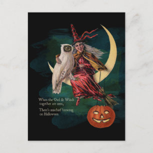 Vintages Halloween-Owl und Hexenkarte Postkarte