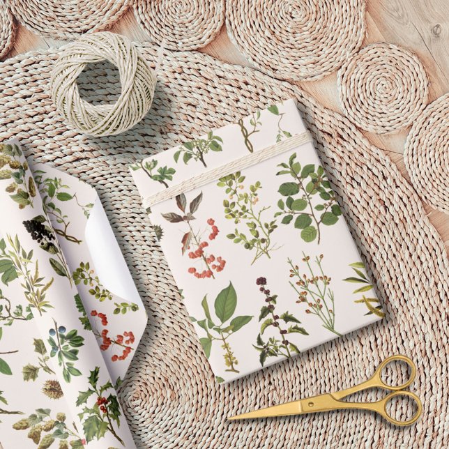 Vintages Herbarium Grünes Pflanze Muster Geschenkpapier (In situ)