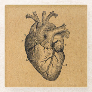 Vintages Herzdiagramm Abbildung Vintage Kunst Glasuntersetzer