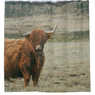 Vintages HIGHLAND CATTLE COW FOTO Duschvorhang