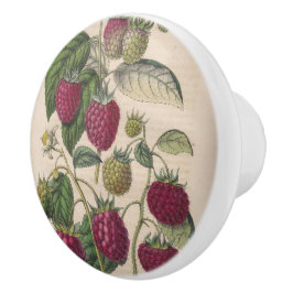 Vintages Himbeerobst Keramikknauf