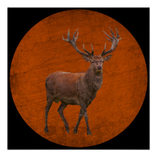 Vintages Hirsch in orangefarbener Natur Poster