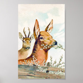 Vintages Hirschposter Poster