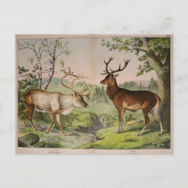 Vintages Hirschstag Ephemera Kunst, Dichtung und M Postkarte