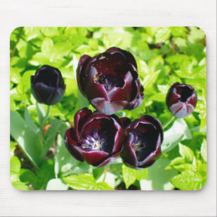 Vintages holländisches Lila Green Black Tulips Fot Mousepad