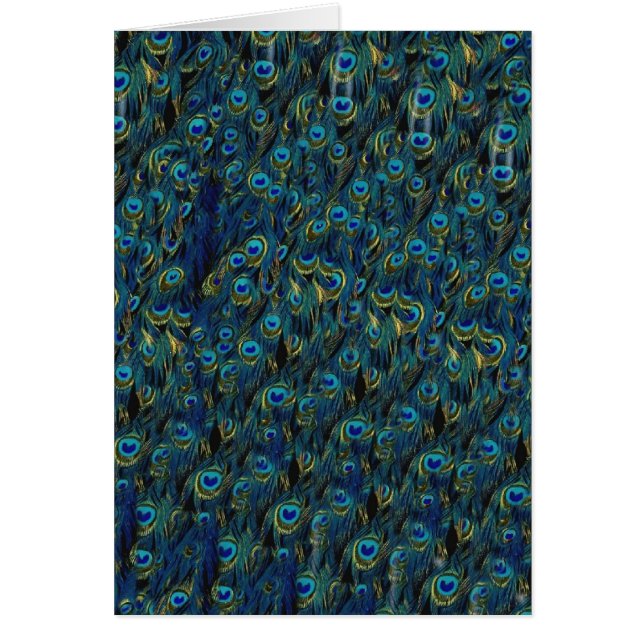 Vintages Hübsches Peacock Bird Feathers Wallpaper (Vorne)