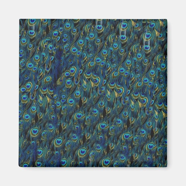Vintages Hübsches Peacock Bird Feathers Wallpaper Magnet (Vorne)