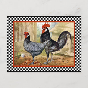 Vintages Hühnerrooster Postkarte