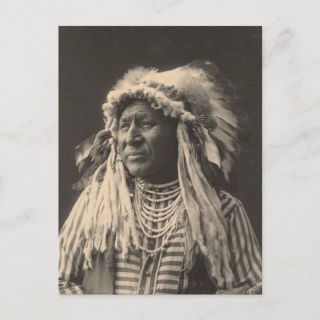 Vintages Indian: Weißer Schwan, Crow - Postkarte (Vorderseite)