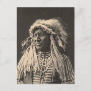 Vintages Indian: Weißer Schwan, Kruge - Postkarte