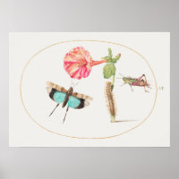 Vintages Insektenbild
