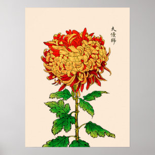 Vintages japanisches Chrysanthemum. Gold und Orang Poster