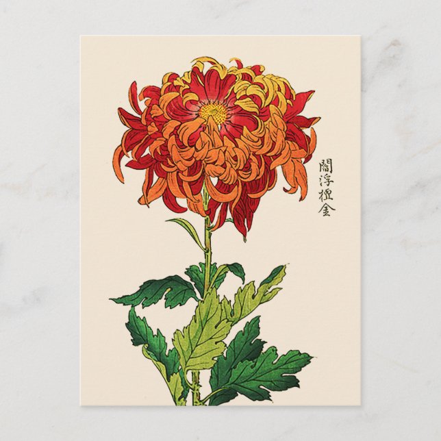Vintages japanisches Chrysanthemum. Rost und Orang Postkarte (Vorderseite)