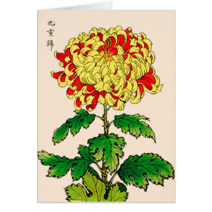 Vintages japanisches Chrysanthemum. Senfgelb
