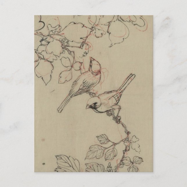 Vintages japanisches Vogelbild Postkarte (Vorderseite)