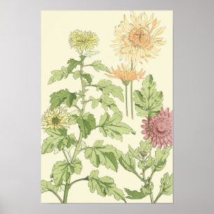 Vintages Jugendstil, Chrysanthemen im Garten Poster